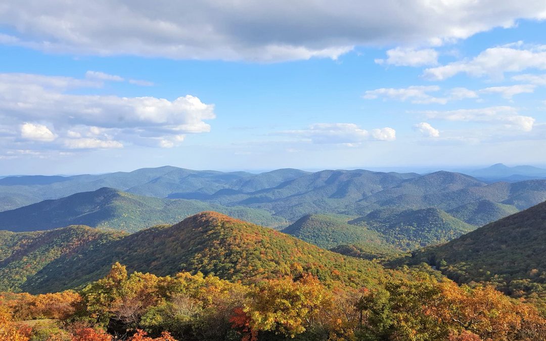 Georgia Mountain Regional Commission Regional Economic Disaster Recovery