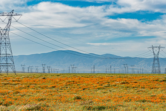 Northern California Power Agency: Security Program
