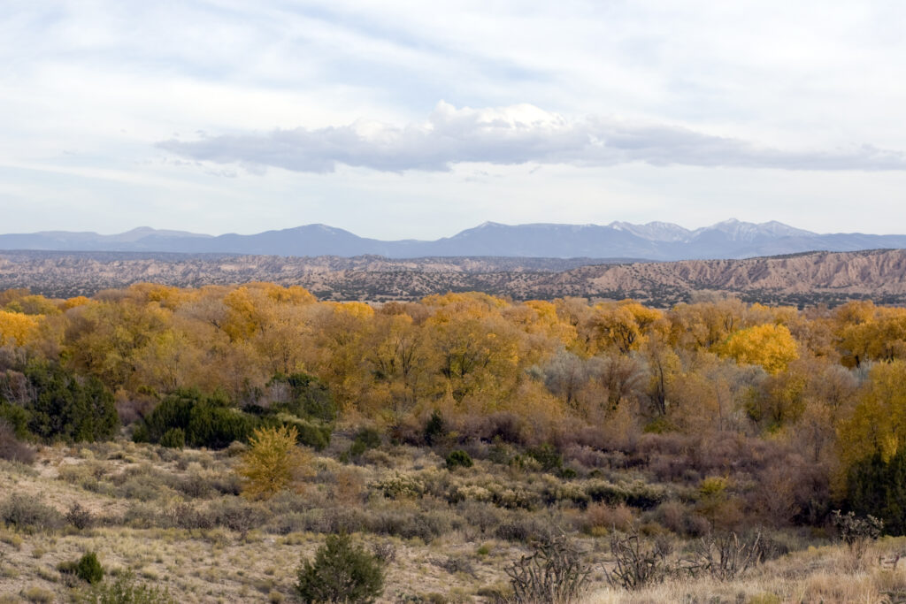New Mexico Educational Retirement Board: Fraud Risk Assessment