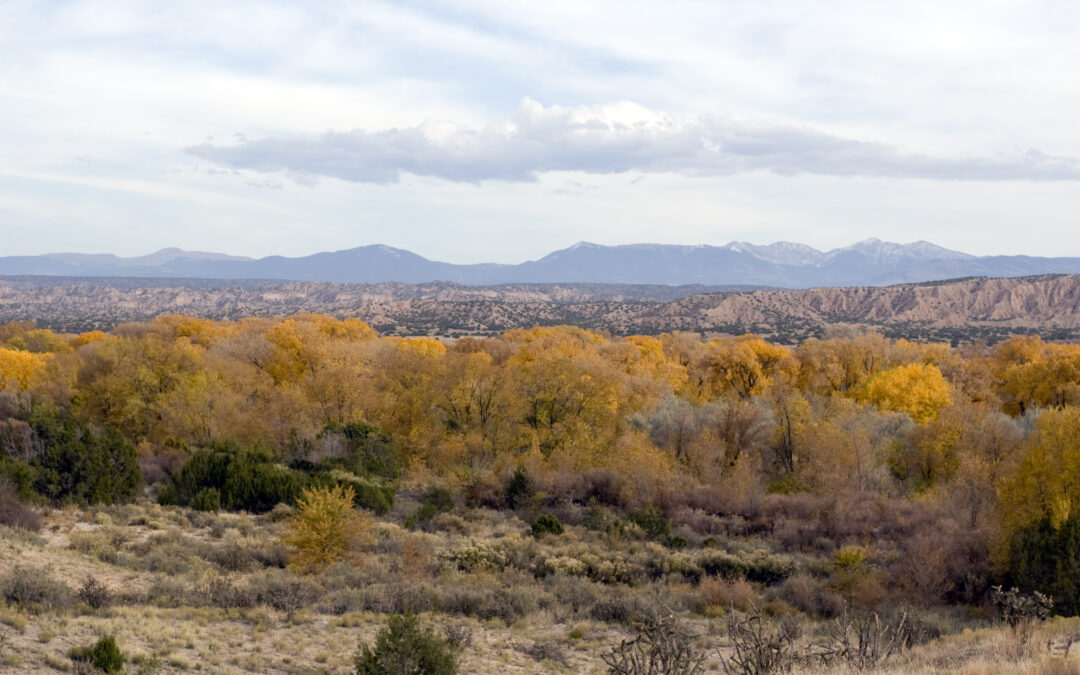 New Mexico Educational Retirement Board: Fraud Risk Assessment