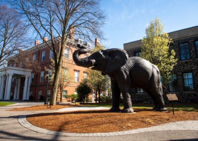 Tufts University: Hazard Mitigation Plan Update