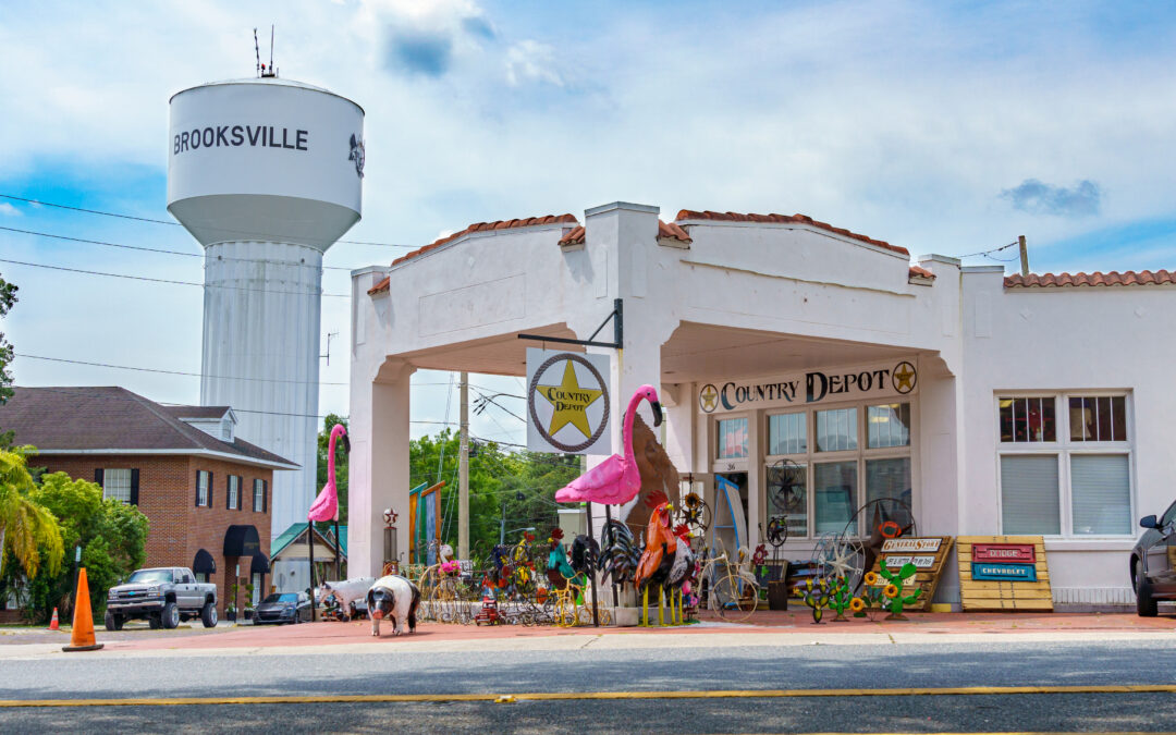 Hernando County, Florida: Disaster Recovery Case Management