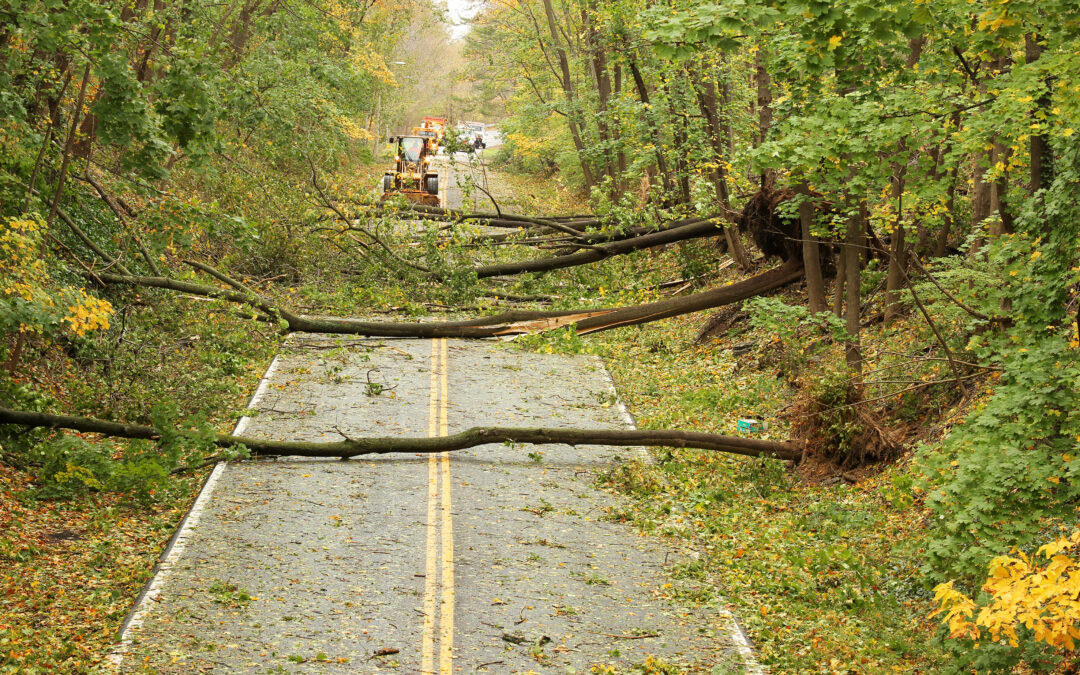 FEMA Public Assistance Technical Assistance Contract